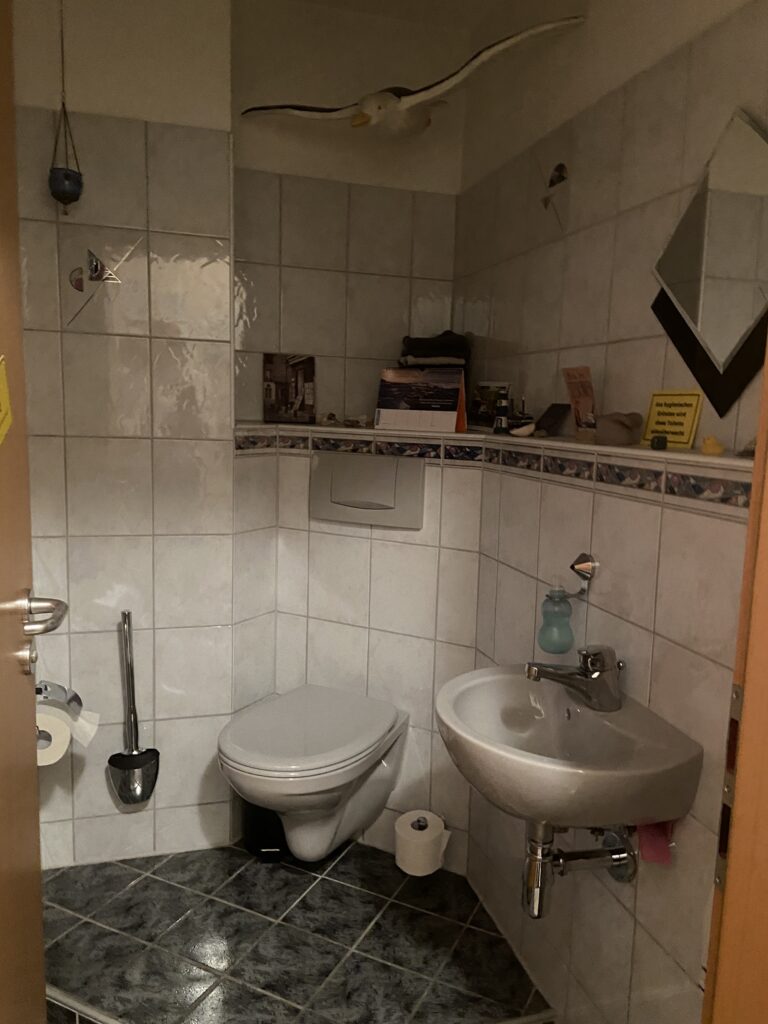 Badrenovierung Ideen, kleine Bäder planen